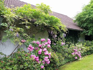 Casa per le vacanze Bad Zwesten Registrazione all'aperto 11