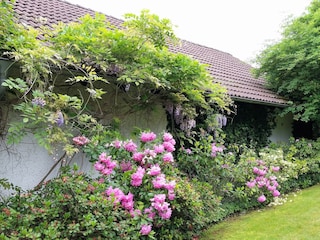 Gartenansicht Ferienhaus "Oase"