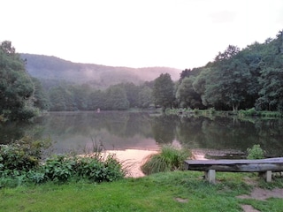 Idyllischer Bade- und Anglerteich, am Dorfrand gelegen