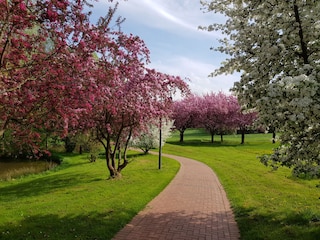 Frühlingserwachen im Kurpark Bad Zwesten