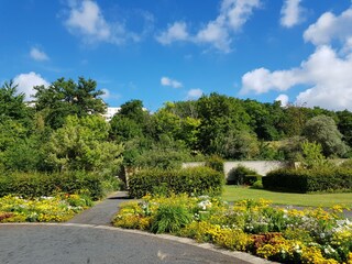 Casa per le vacanze Bad Zwesten Ambiente 36