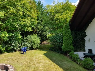 Casa de vacaciones Bad Zwesten Grabación al aire libre 6