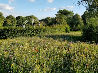 Blick zum Rosengarten Kurpark Bad Zwesten