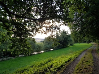 Abendspaziergang an der Schwalm