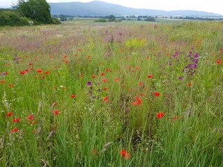Casa per le vacanze Bad Zwesten Ambiente 31