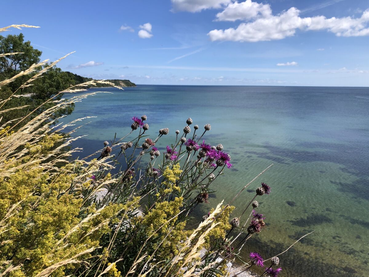 Blick zum Kap Arkona