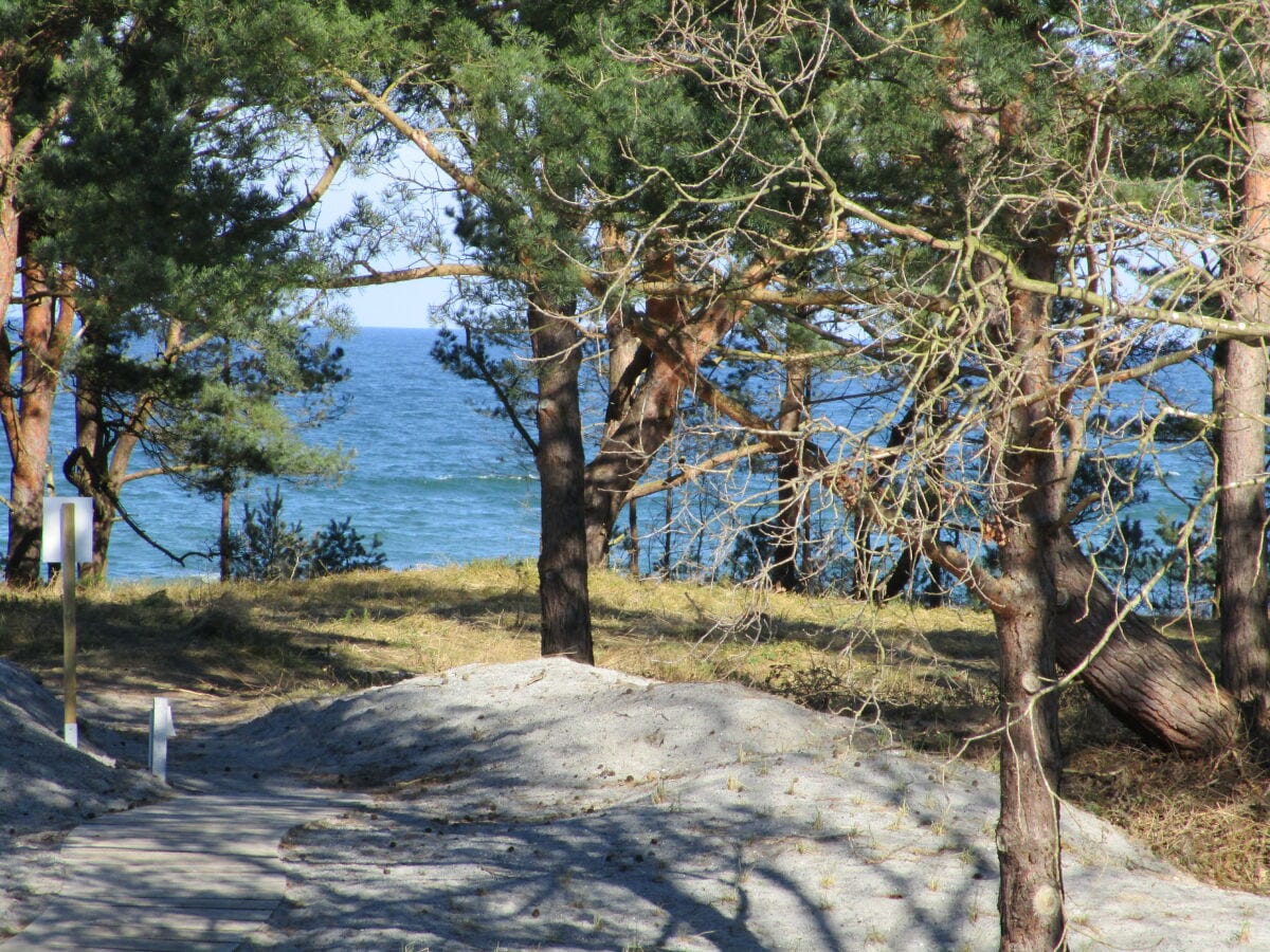 Meerblick durch den Dünenwald - 100m zum Sandstrand