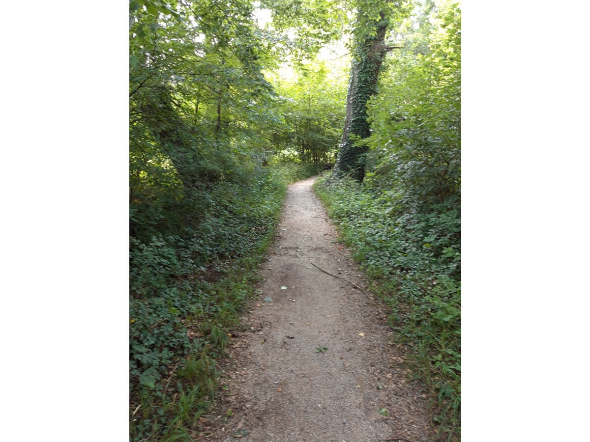 Wanderweg