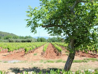 Villa La Motte Buitenaudio-opname 5