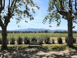 Villa La Motte Environment 34