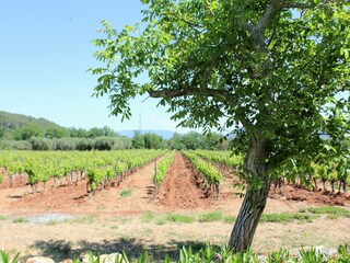 Villa La Motte Buitenaudio-opname 4