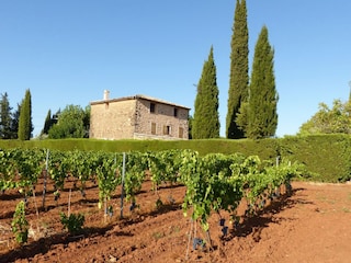 Villa La Motte Environment 35