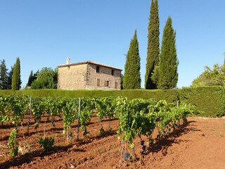 Villa La Motte Omgeving 34