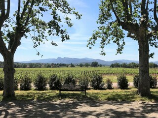 Villa La Motte Environment 34