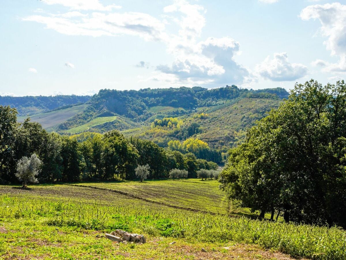 Villa Castiglione in Teverina Buitenaudio-opname 1