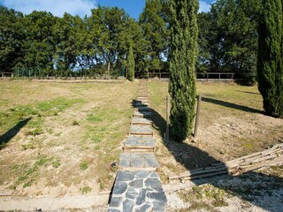 Villa Castiglione in Teverina Entorno 33