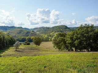 Villa Castiglione in Teverina Environment 33