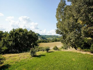 Villa Castiglione in Teverina Entorno 35