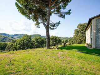 Villa Castiglione in Teverina Buitenaudio-opname 7