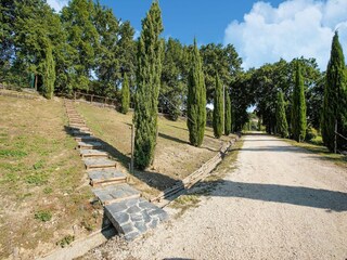 Villa Castiglione in Teverina Omgeving 32