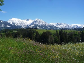 Ferienwohnung Haflingerhof Müller - Obermaiselstein - image1