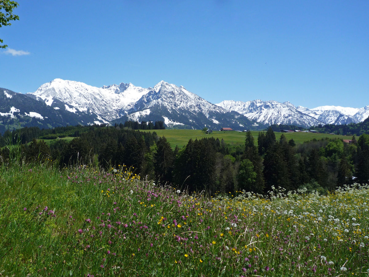 Ferienwohnung Obermaiselstein Außenaufnahme 1