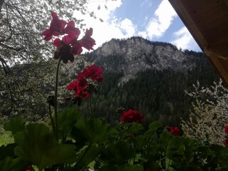 Appartamento per vacanze Schwendau Registrazione all'aperto 19