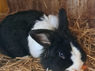 Appartamento per vacanze Schwendau Registrazione all'aperto 21