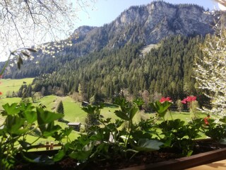 Appartamento per vacanze Schwendau Registrazione all'aperto 7