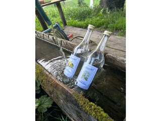 Appartamento per vacanze Schwendau Registrazione all'aperto 17