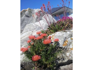 Maison de vacances Sibiril Enregistrement extérieur 7