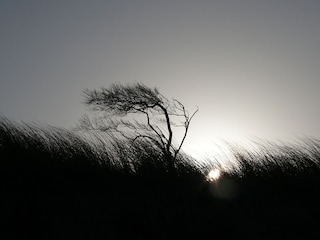 gleich geht die Sonne am Meer unter
