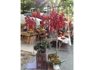 Casa per le vacanze Bedoin Ambiente 13