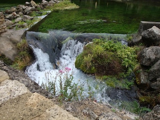 Wild fließt die Sorgue