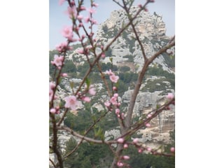 Les Baux de Provence