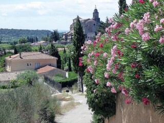 Maison de vacances Bedoin Environnement 12