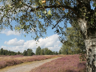 Spaziergang durch die Ellerndorfer Wacholderheide