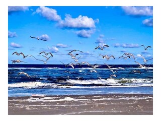 Ferienwohnung Callantsoog Außenaufnahme 1