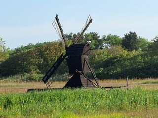 Molen
