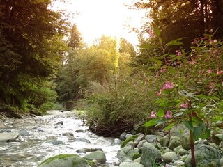 Holiday apartment Hörbranz Environment 15