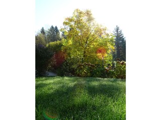 Holiday apartment Hörbranz Environment 20