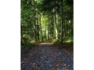 Appartamento per vacanze Hörbranz Ambiente 18