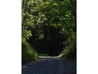 Appartamento per vacanze Hörbranz Ambiente 19