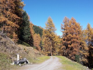 Herbst - Almenwanderungen