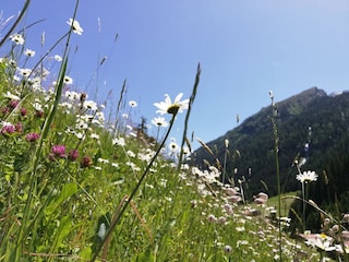 Aussicht - Rappenkopf