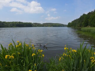 Casa per le vacanze Zadelsdorf Ambiente 24