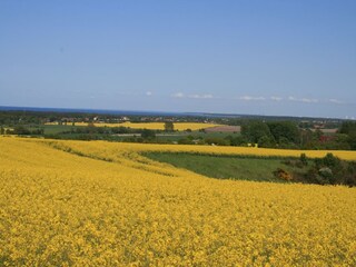 Vakantiehuis Kägsdorf Omgeving 26