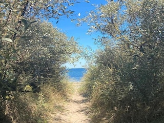 Apartment Kägsdorf Umgebung 28