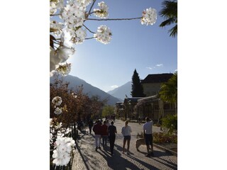 Appartamento Meran Ambiente 16