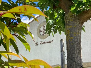 Villa Montbrun-des-Corbières Registrazione all'aperto 4
